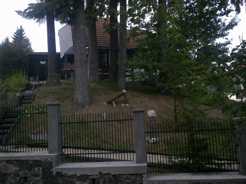 Casa Gabriela Villa Синая Стая снимка