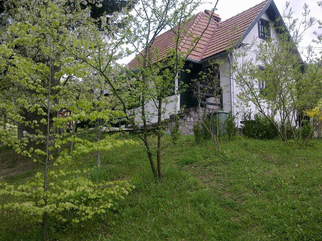 Casa Gabriela Villa Синая Стая снимка