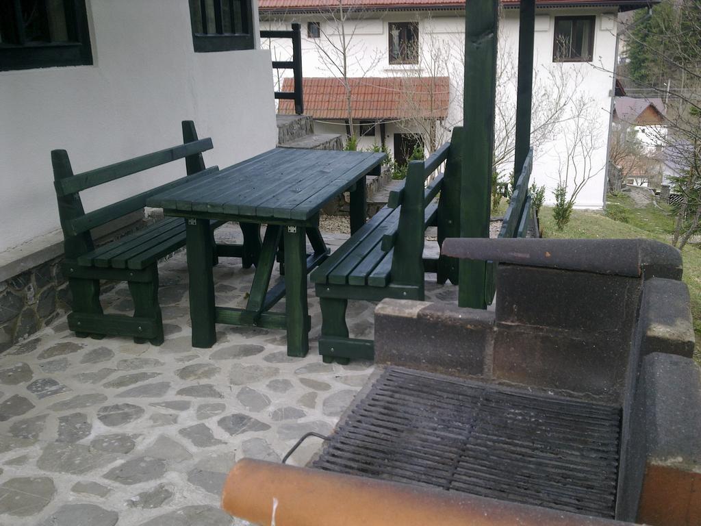 Casa Gabriela Villa Синая Стая снимка