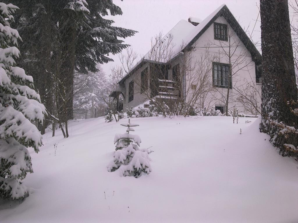Casa Gabriela Villa Синая Стая снимка